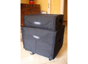 Mesa Boogie M6 Carbine