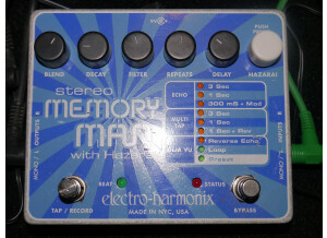 Electro-Harmonix Stereo Memory Man with Hazarai (22614)