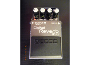 Boss RV-2 Digital Reverb (44348)
