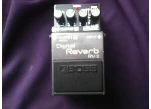 Boss RV-2 Digital Reverb (84489)