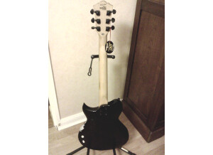 Washburn WI200 Pro EB