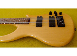 Spector NS-95 (14025)