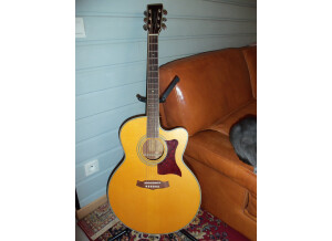 Tanglewood TW55 NS B (82575)