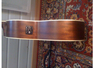 Tanglewood TW55 NS B (52646)