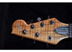 WSL Guitars The Beauty (2435)