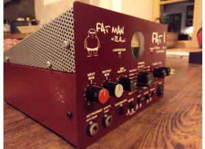 TL Audio Fat 1 Stereo Valve Compressor (94670)