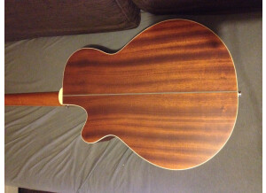 Tanglewood TW45 NS E (20873)