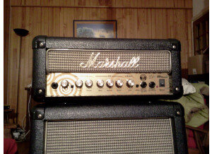 Marshall MG15MSZW - Zakk Wylde (47482)