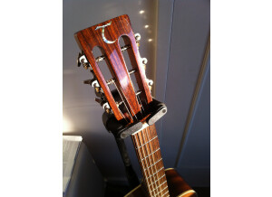 Tanglewood TW73 B (93491)