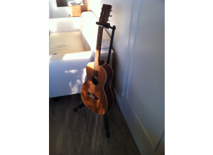 Tanglewood TW73 B (29907)