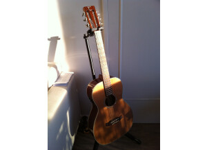 Tanglewood TW73 B (9837)