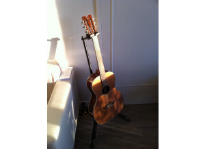 Tanglewood TW73 B (5100)