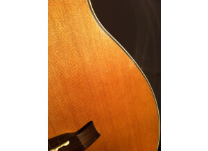 Tanglewood TW73 B (6178)