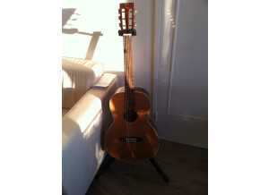Tanglewood TW73 B (32555)