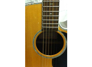 Takamine EG460SC (53941)