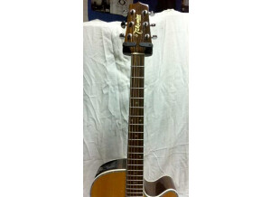 Takamine EG460SC (51453)
