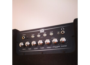 Line 6 LowDown Studio 110 (12879)