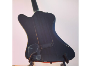 Epiphone Thunderbird Pro IV Translucent Black