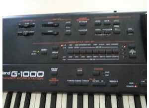 Roland G-1000 (26197)