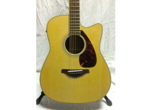 Takamine EG460SC (13976)