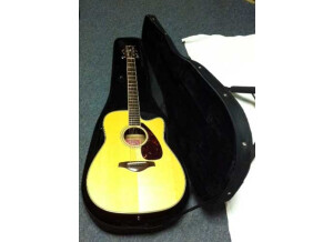 Takamine EG460SC (3701)