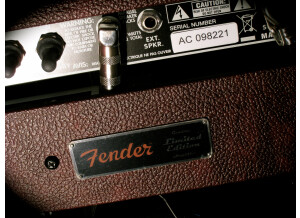 Fender '65 Deluxe Reverb - Bordeaux Blues Limited Edition 2012 (52022)