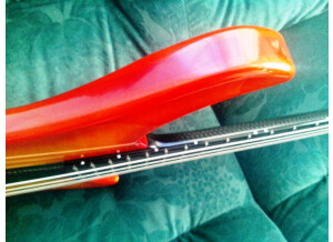 Vigier Passion Carbon (24628)