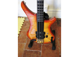 Vigier Passion Carbon (54327)