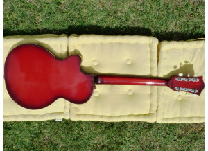 Hofner Guitars Colorama 1960-1961 (36648)