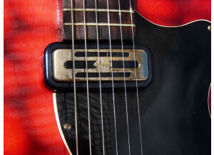 Hofner Guitars Colorama 1960-1961 (89878)