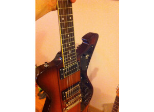 Wild Customs The Firewild Standard Premium (41481)