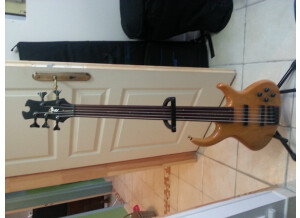 Tobias Michael Tobias fretless