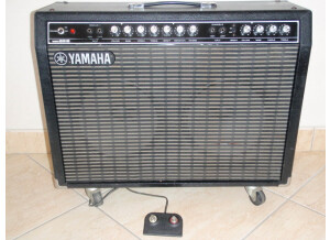 Yamaha G100B-212 (91383)