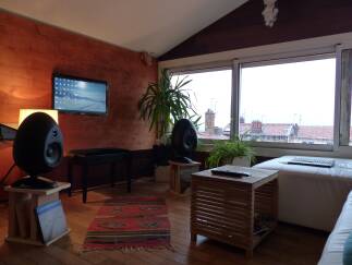 sE Electronics Egg 150