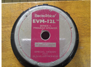 Electro-Voice EVM-12L