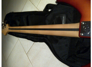 Vigier Excess (13474)