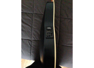 Tanglewood Odyssey (65162)