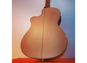 Alhambra Guitars 3F CW E1 (48493)
