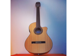 Alhambra Guitars 3F CW E1 (42073)