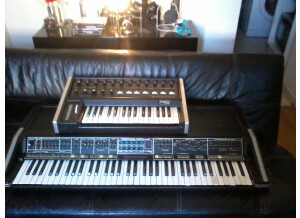 Moog Music Polymoog Synthesizer (203A) (21424)