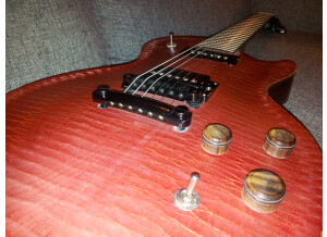 Gibson Les Paul BFG (19509)
