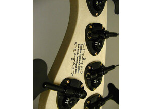 Bacchus DX5BGP (50758)