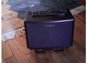 Roland AC-33-RW (16991)