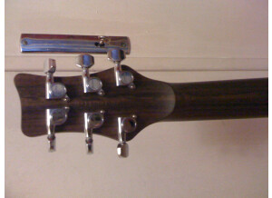 Framus Panthera Custom (21185)