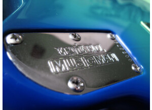 MusicMan Steve Morse