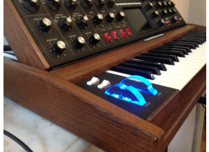 Moog Music Minimoog Voyager (55838)