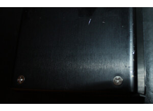 Strymon Flint (30357)