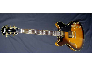 Ibanez AS120 (59887)