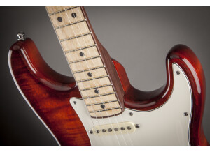 Select Stratocaster HSS Exotic Maple Flame 7