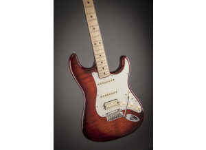 Select Stratocaster HSS Exotic Maple Flame 6